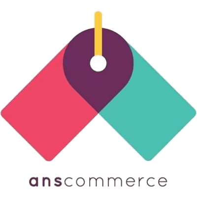 ANS logo